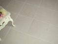 Beige Moleanos Limestone - Honed - Fine Grain