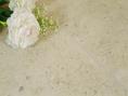 Gascogne Beige Limestone Tiles - Honed