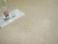 Jericho Character Limestone Tiles