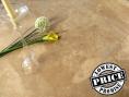 Muscat Travertine Tiles - Honed and Unfilled