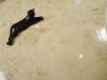 Jura Beige Limestone - Polished