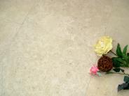 Triesta Limestone (Dijon) - Honed