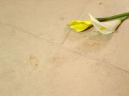 Jura Beige Limestone - Tumbled